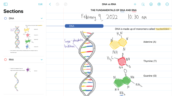 Screenshot of AxNote